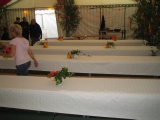 IMG_1046.JPG
