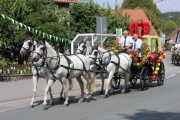 IMG_3686.JPG